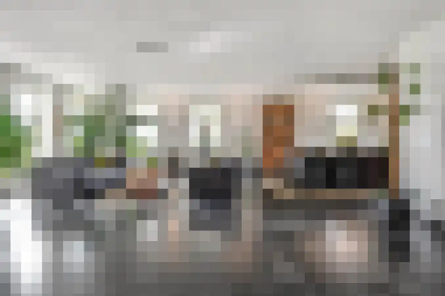 Nieuwe Dijk 13 Coevorden thumbnail 18