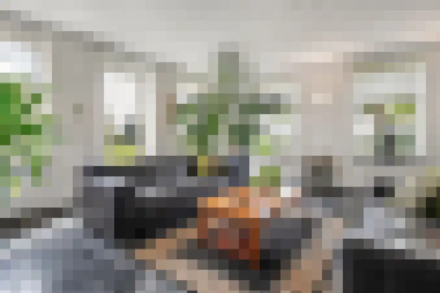 Nieuwe Dijk 13 Coevorden thumbnail 19