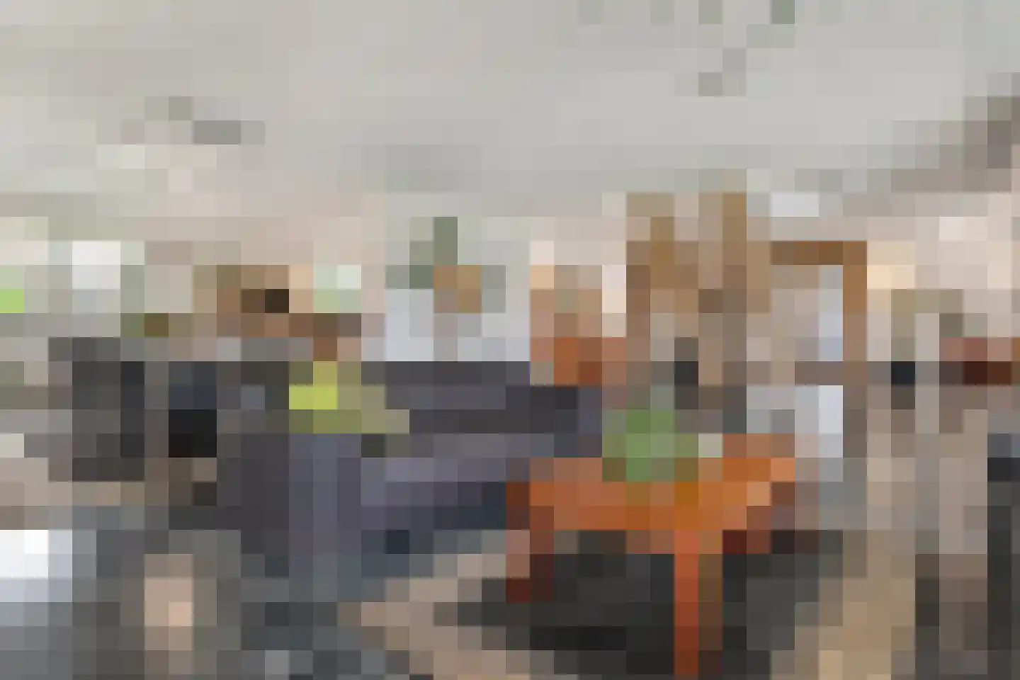 Nieuwe Dijk 13 Coevorden thumbnail 20