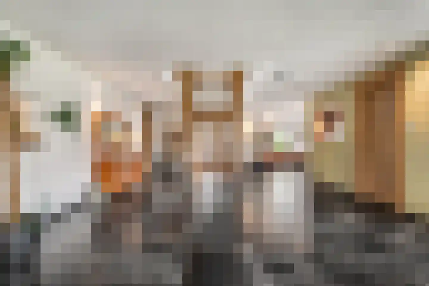 Nieuwe Dijk 13 Coevorden thumbnail 21