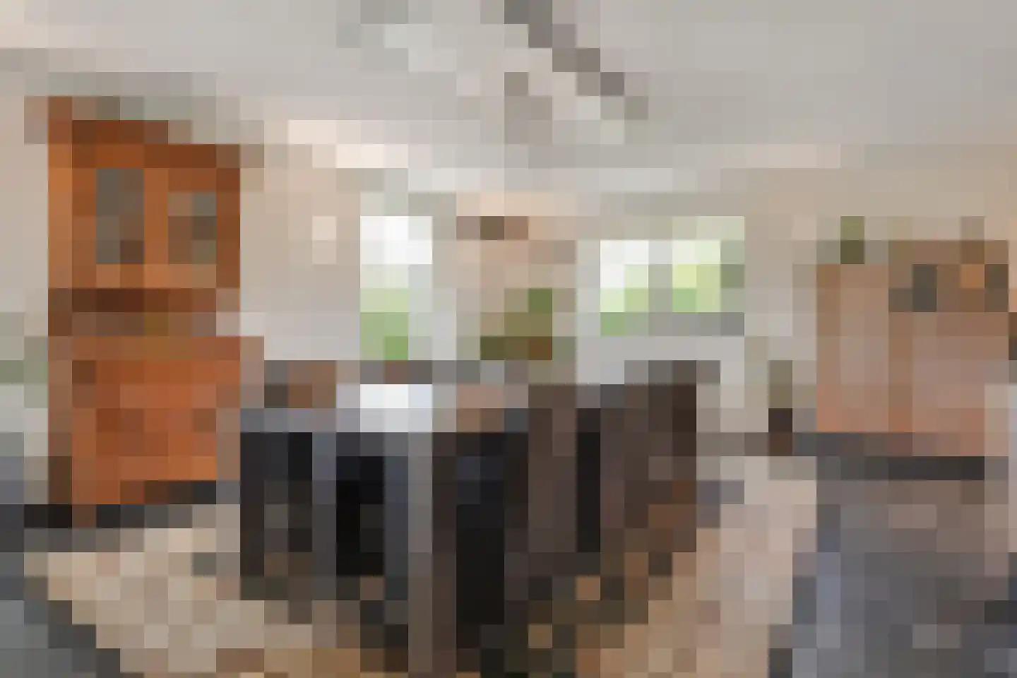 Nieuwe Dijk 13 Coevorden thumbnail 22