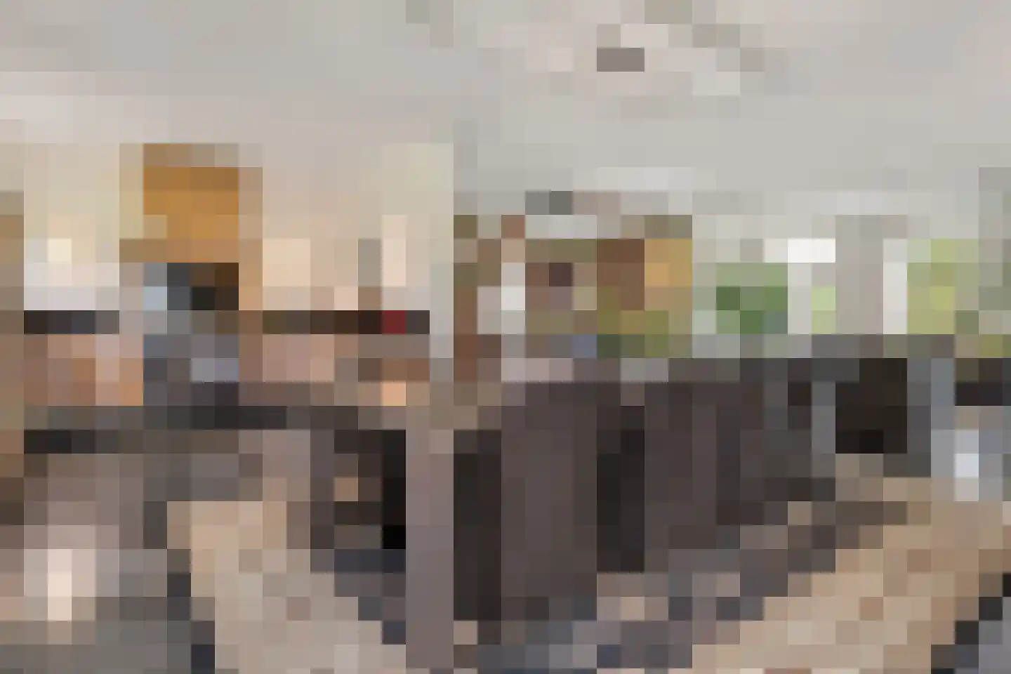 Nieuwe Dijk 13 Coevorden thumbnail 23