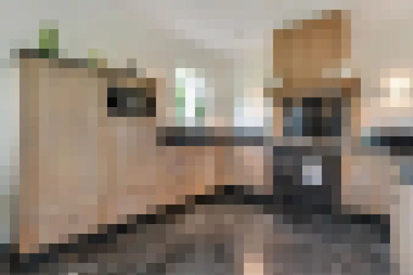 Nieuwe Dijk 13 Coevorden thumbnail 24
