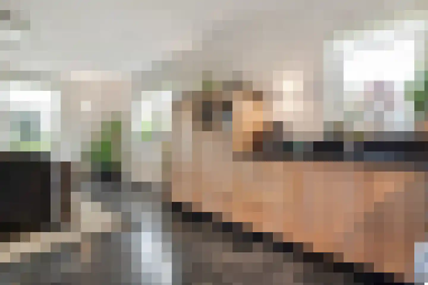 Nieuwe Dijk 13 Coevorden thumbnail 26