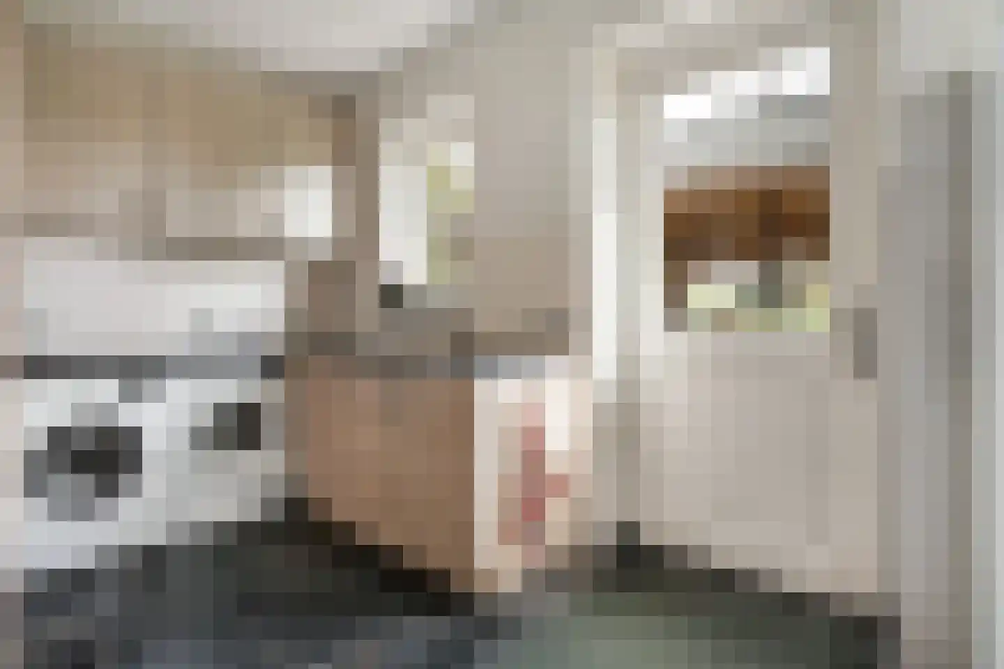 Nieuwe Dijk 13 Coevorden thumbnail 32