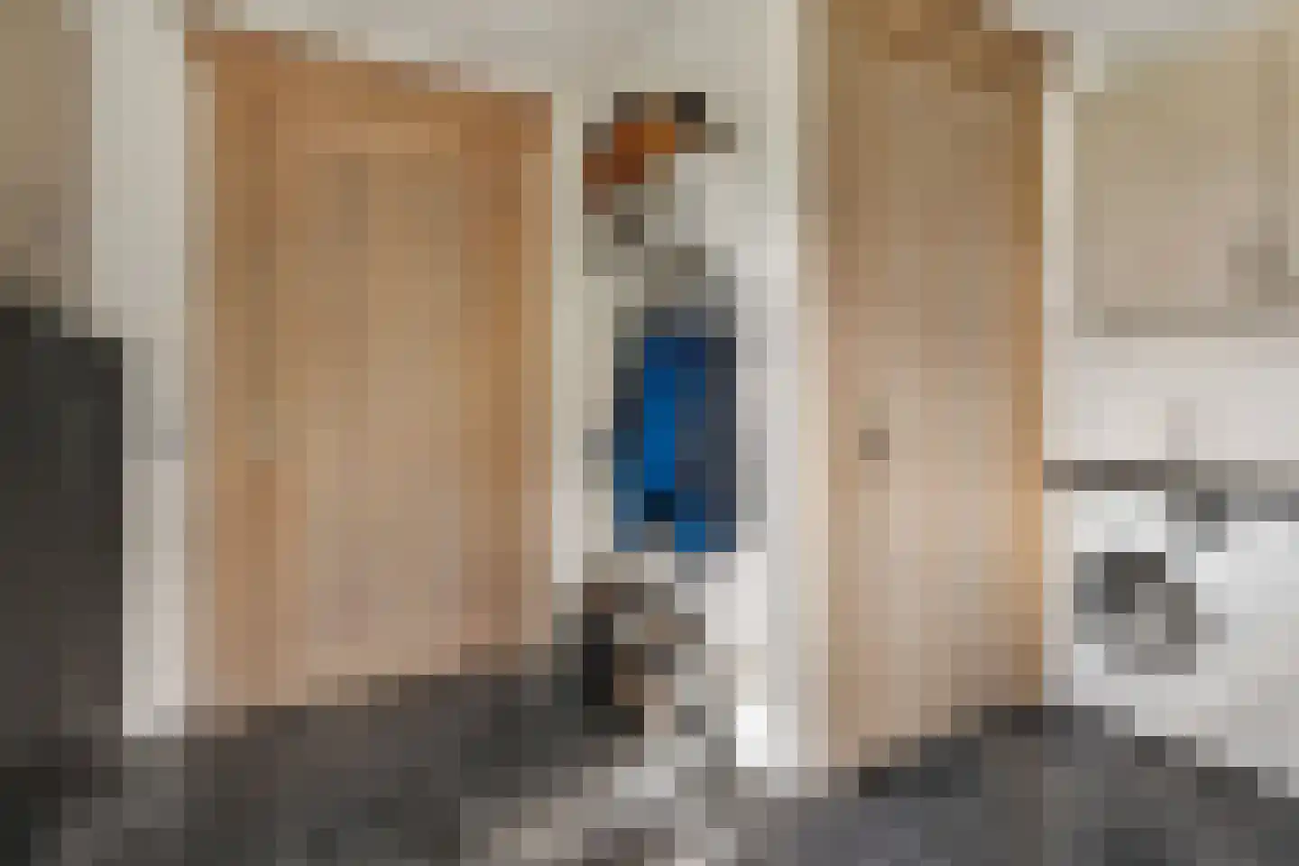 Nieuwe Dijk 13 Coevorden thumbnail 33