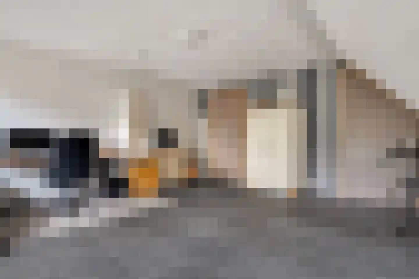 Nieuwe Dijk 13 Coevorden thumbnail 39