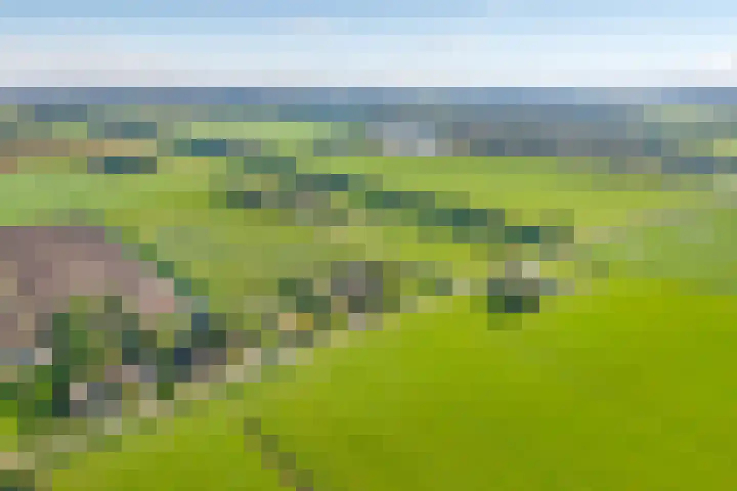 Nieuwe Dijk 13 Coevorden thumbnail 4