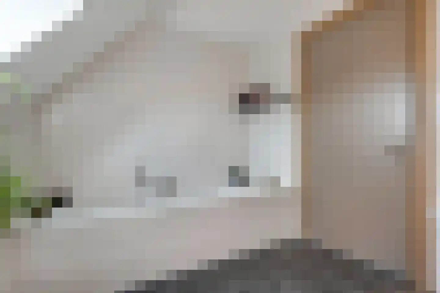 Nieuwe Dijk 13 Coevorden thumbnail 43