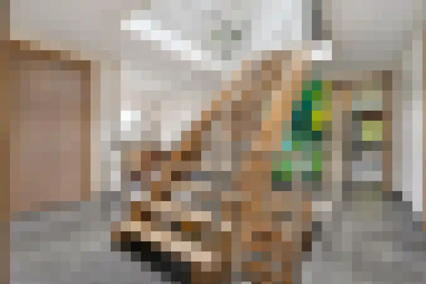 Nieuwe Dijk 13 Coevorden thumbnail 44