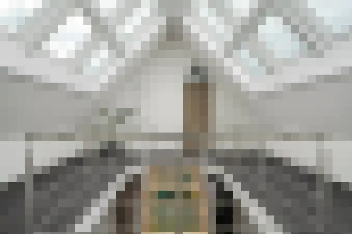 Nieuwe Dijk 13 Coevorden thumbnail 45