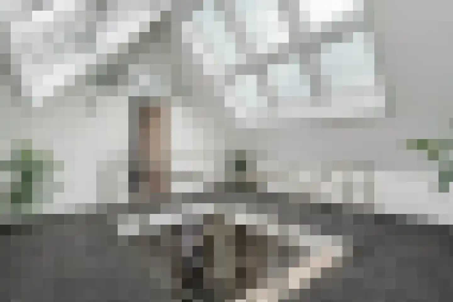 Nieuwe Dijk 13 Coevorden thumbnail 46