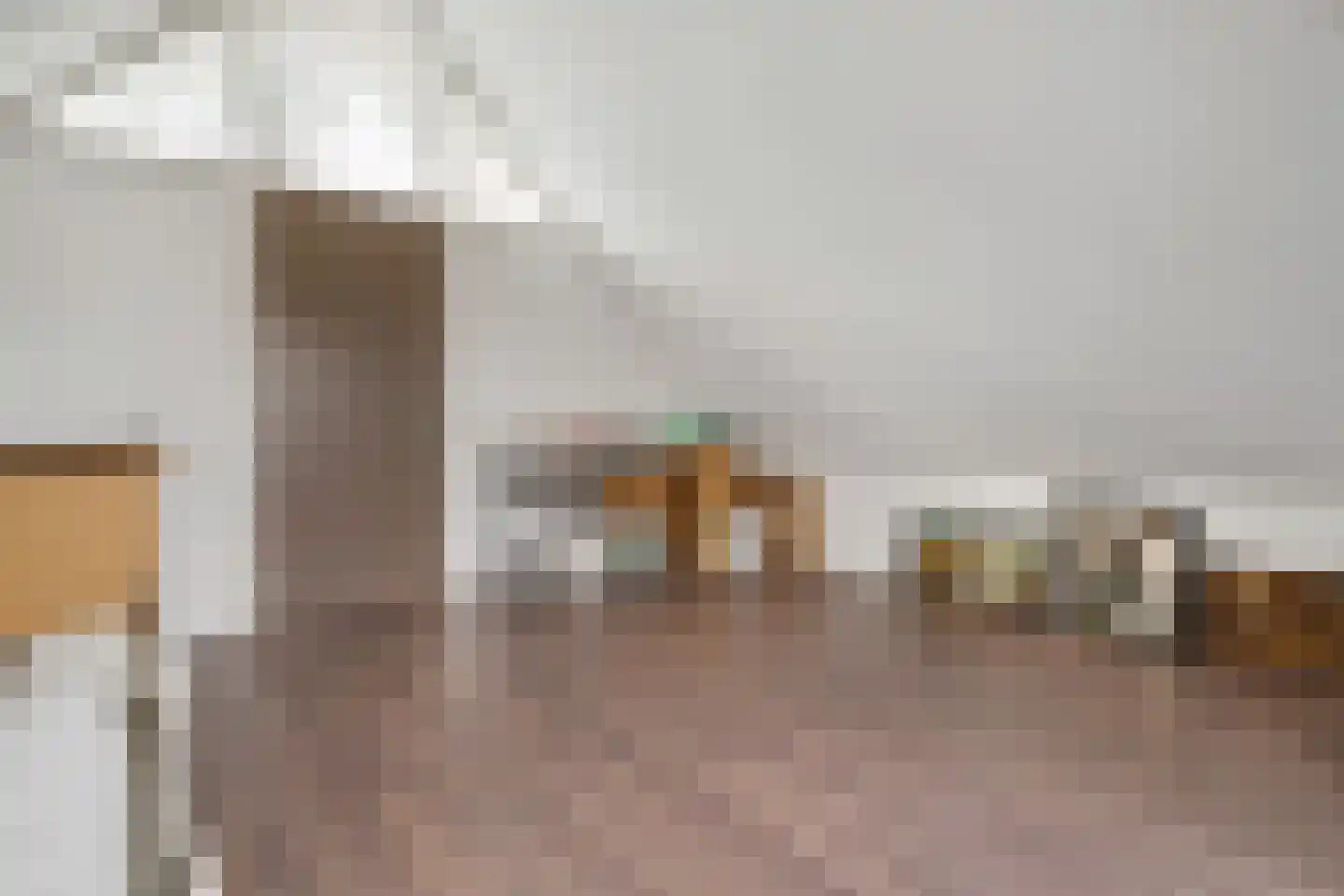 Nieuwe Dijk 13 Coevorden thumbnail 47