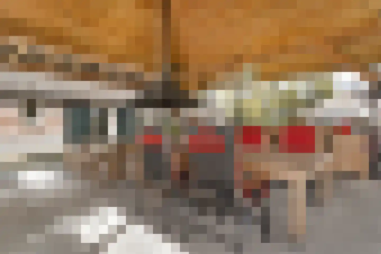 Nieuwe Dijk 13 Coevorden thumbnail 52