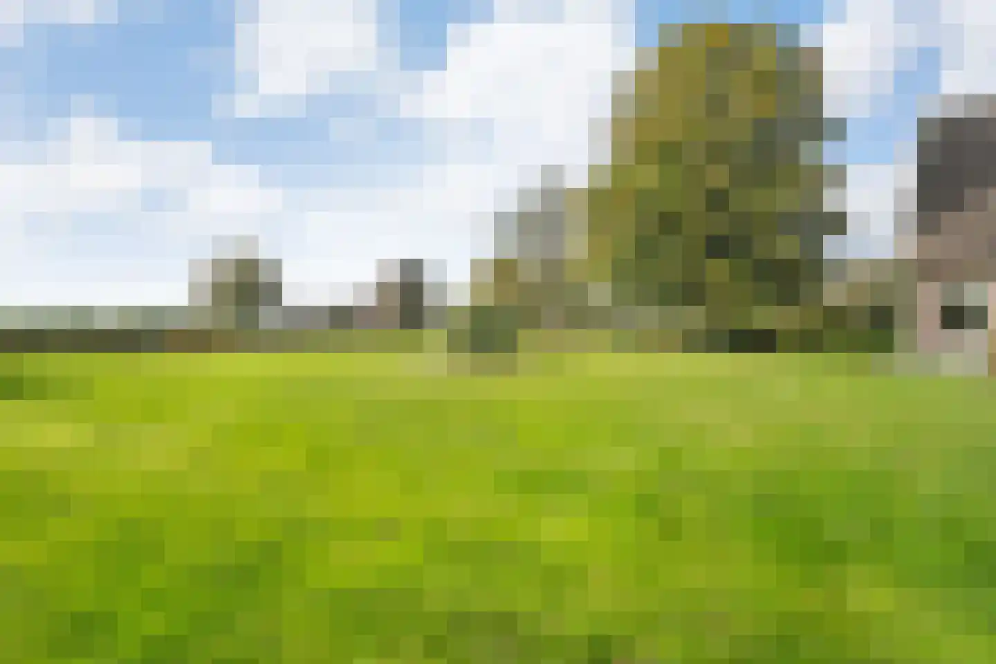Nieuwe Dijk 13 Coevorden thumbnail 53