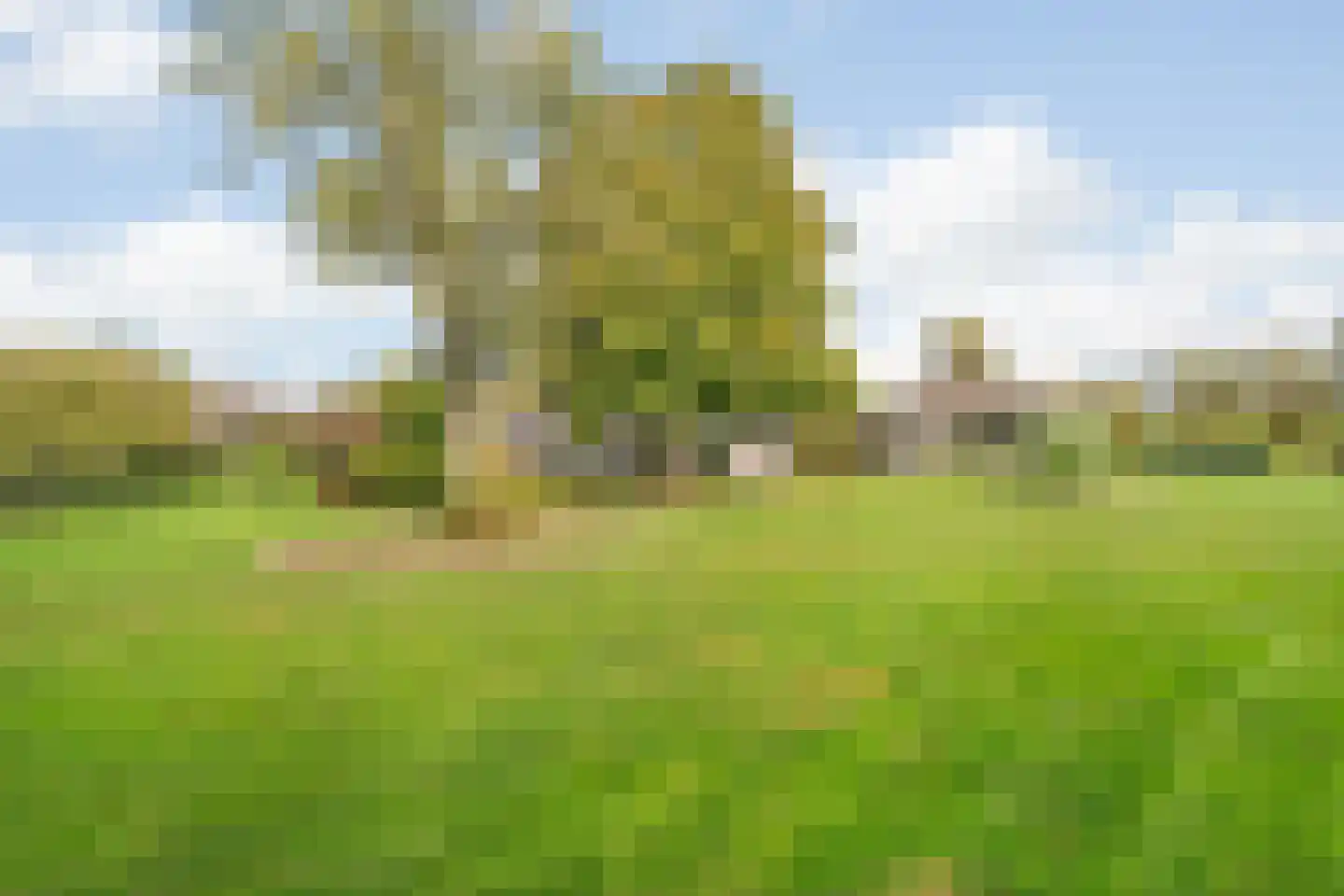 Nieuwe Dijk 13 Coevorden thumbnail 55
