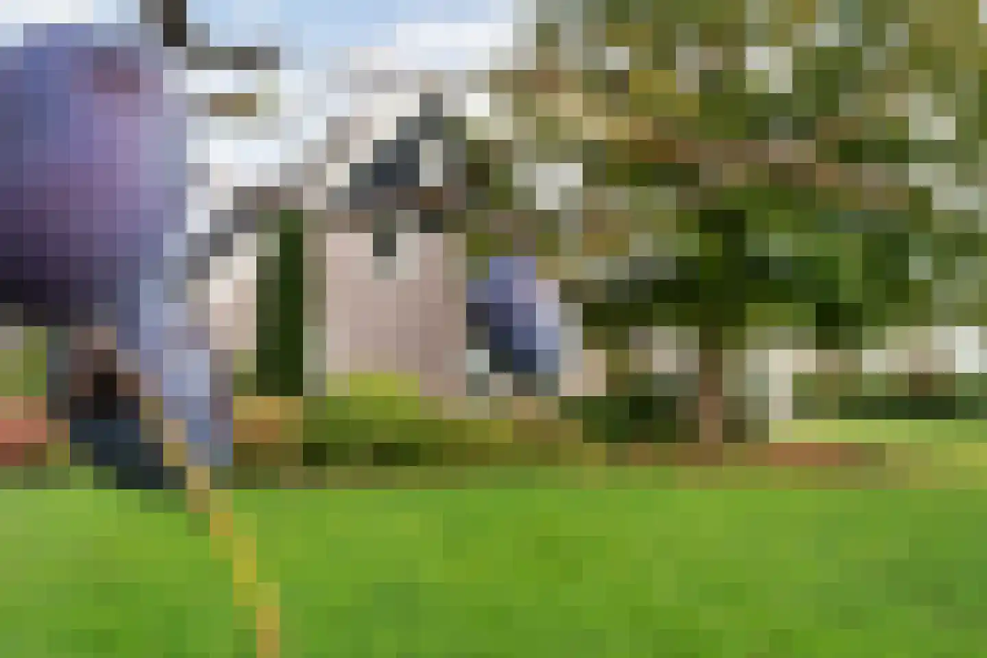 Nieuwe Dijk 13 Coevorden thumbnail 56