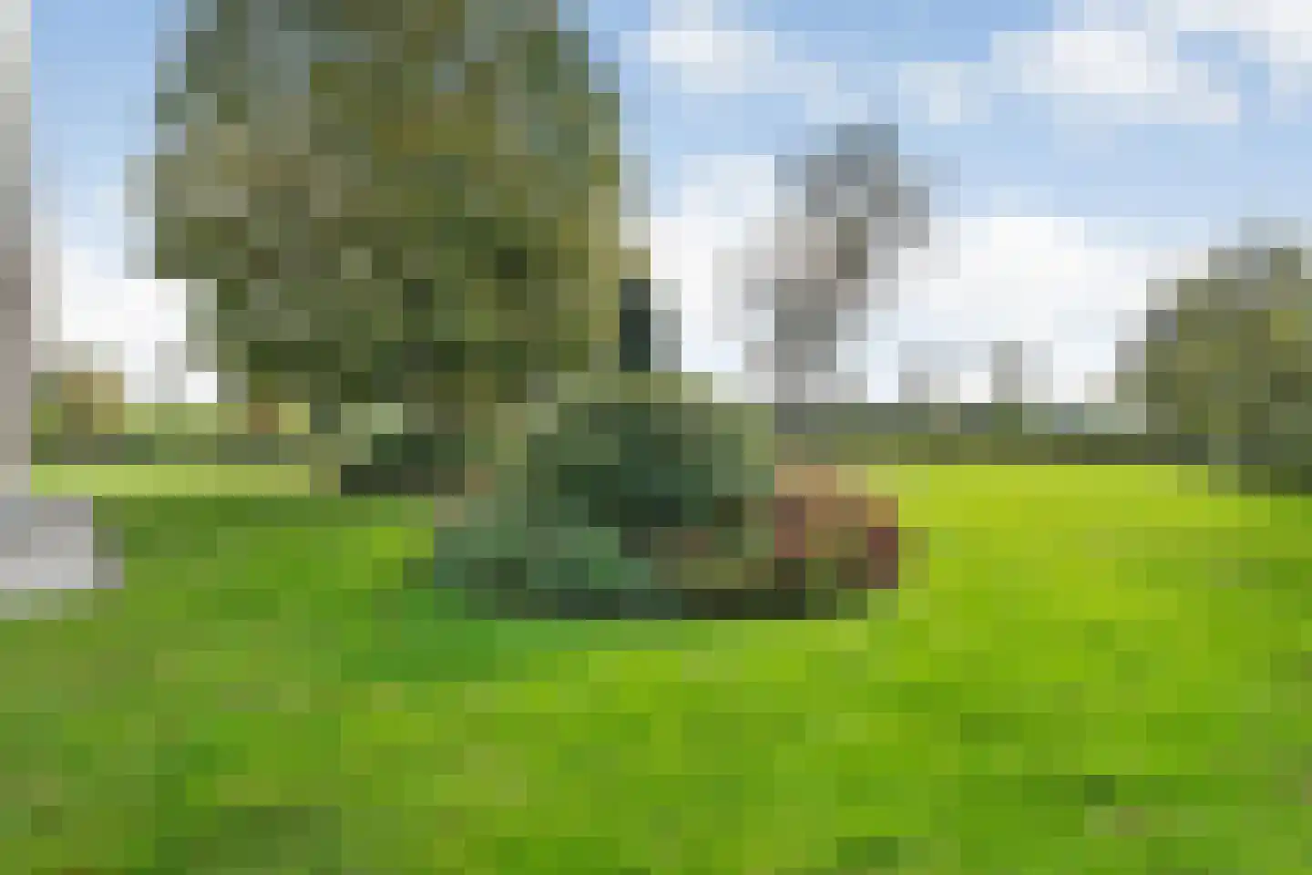 Nieuwe Dijk 13 Coevorden thumbnail 58