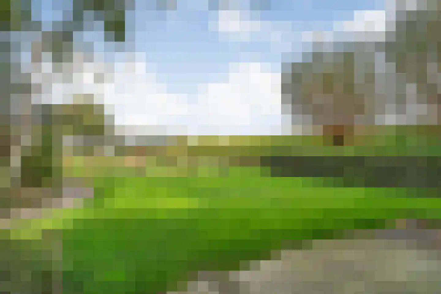Nieuwe Dijk 13 Coevorden thumbnail 62