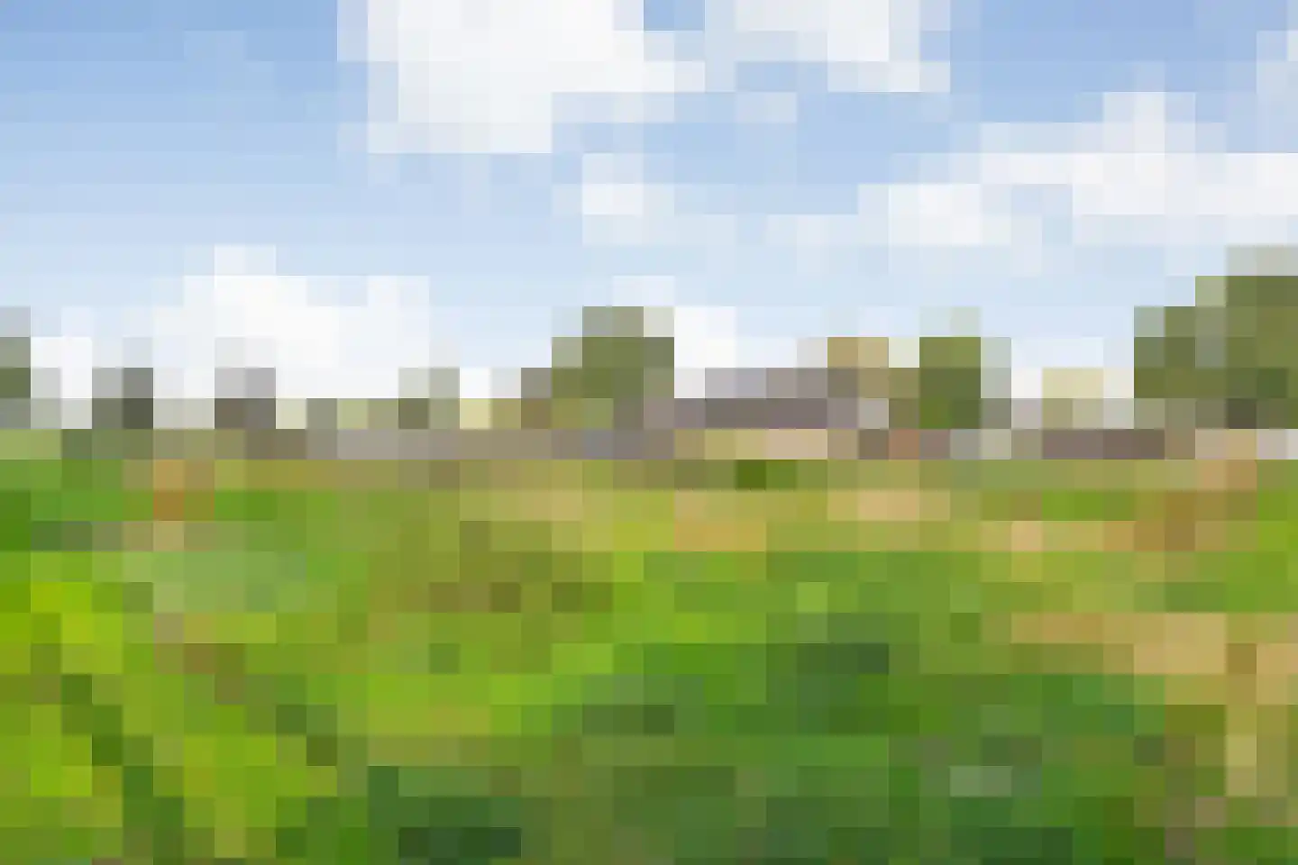 Nieuwe Dijk 13 Coevorden thumbnail 63