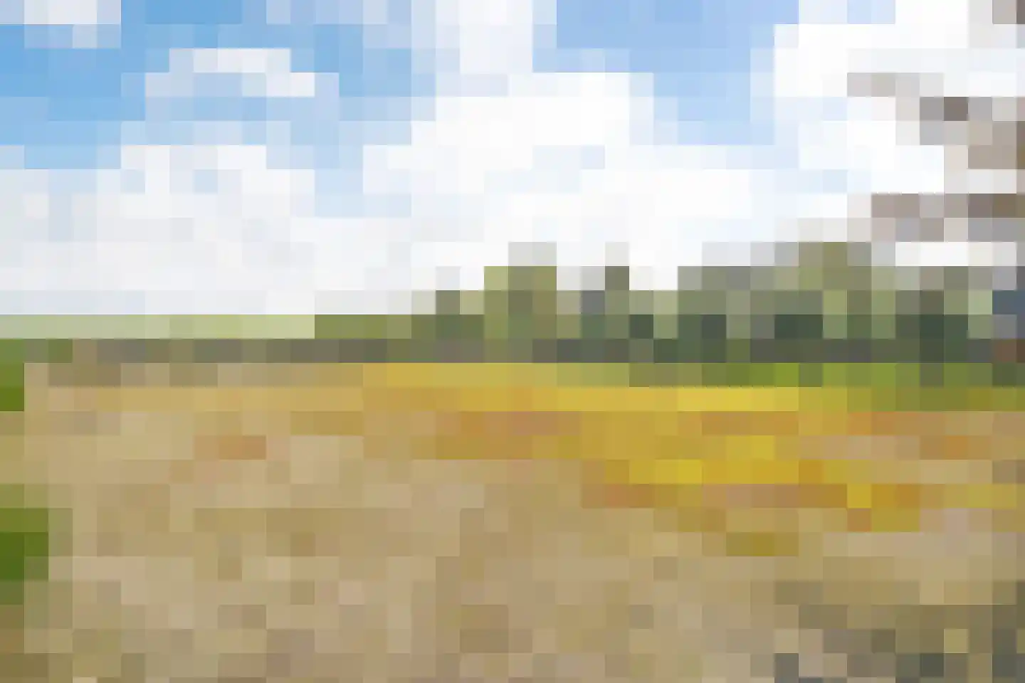 Nieuwe Dijk 13 Coevorden thumbnail 64