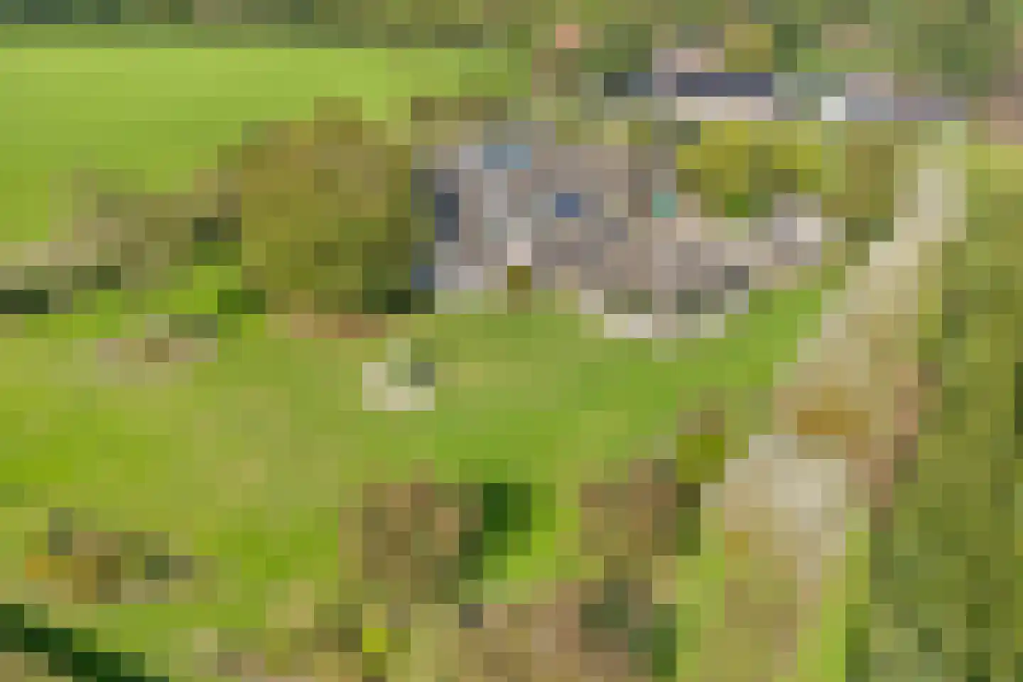 Nieuwe Dijk 13 Coevorden thumbnail 66