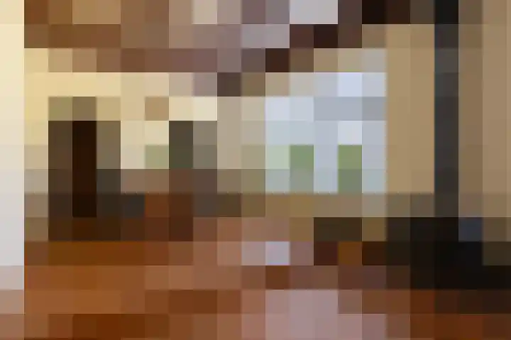 Nieuwe Dijk 14 Zuidwolde thumbnail 11