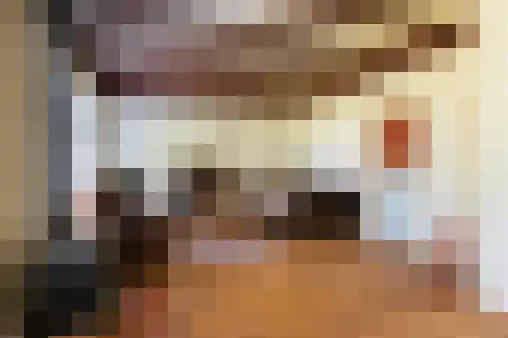 Nieuwe Dijk 14 Zuidwolde thumbnail 14