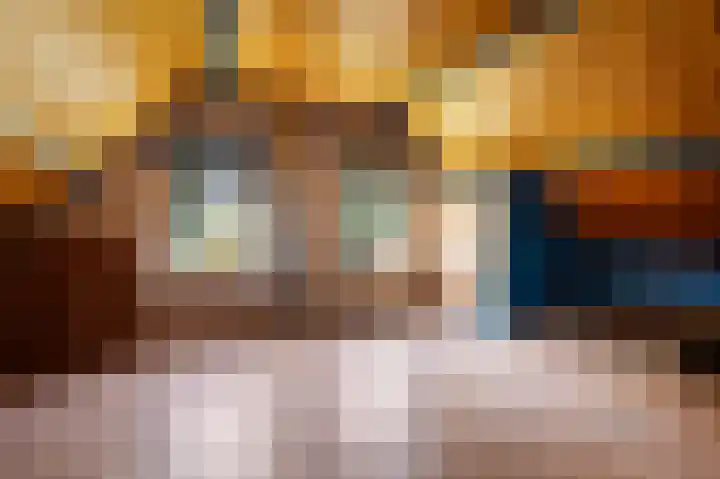 Nieuwe Dijk 14 Zuidwolde thumbnail 28