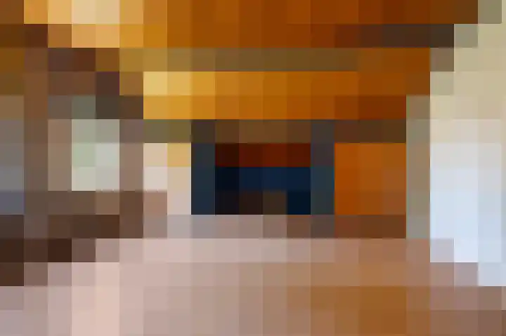 Nieuwe Dijk 14 Zuidwolde thumbnail 30