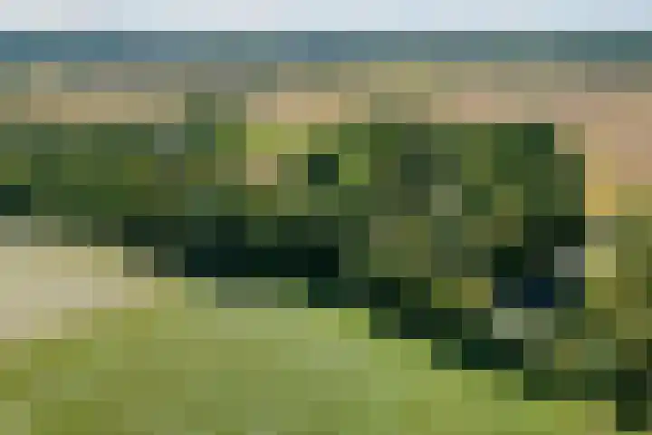 Nieuwe Dijk 14 Zuidwolde thumbnail 32