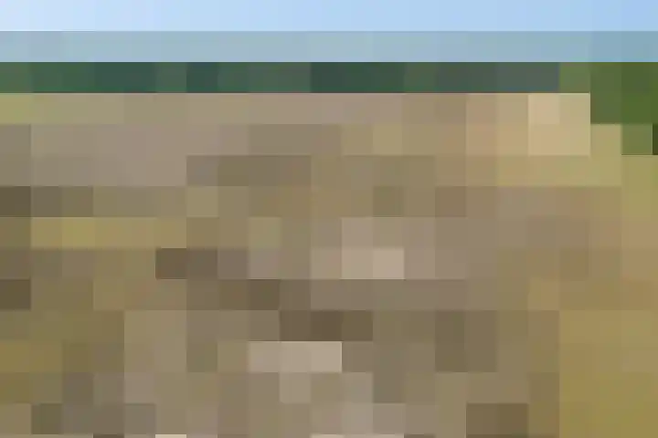 Nieuwe Dijk 14 Zuidwolde thumbnail 33