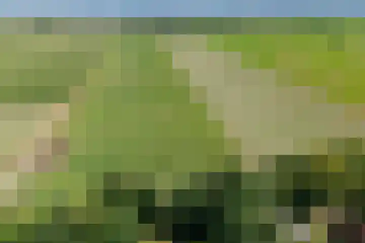Nieuwe Dijk 14 Zuidwolde thumbnail 34