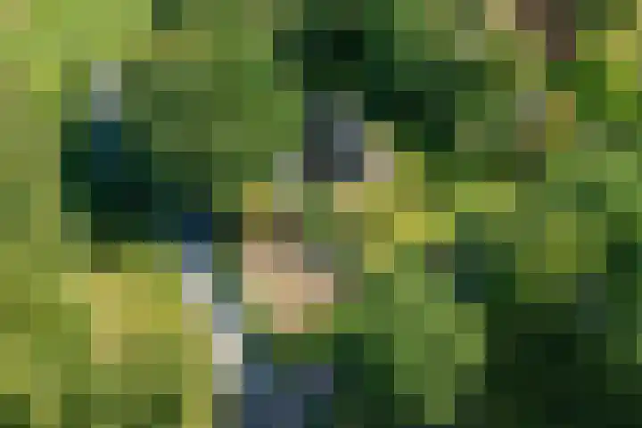 Nieuwe Dijk 14 Zuidwolde thumbnail 36