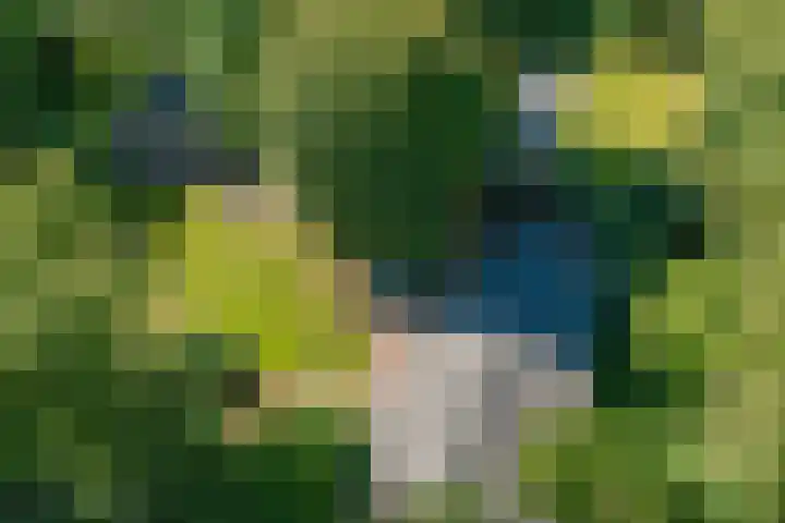 Nieuwe Dijk 14 Zuidwolde thumbnail 37