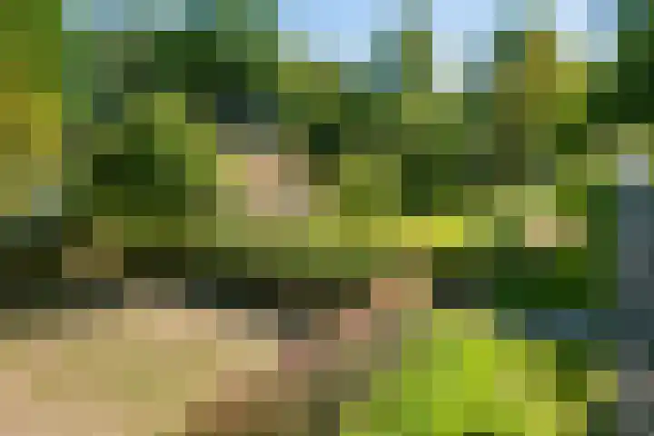 Nieuwe Dijk 14 Zuidwolde thumbnail 38