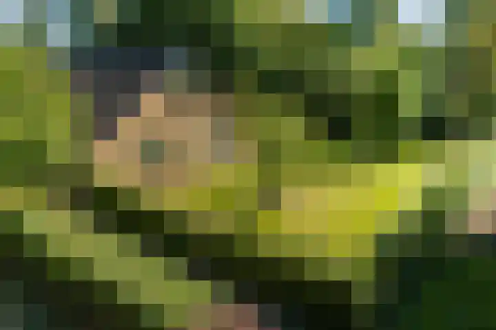 Nieuwe Dijk 14 Zuidwolde thumbnail 39