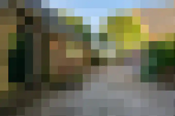 Nieuwe Dijk 14 Zuidwolde thumbnail 4