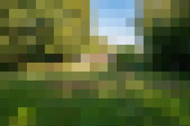 Nieuwe Dijk 14 Zuidwolde thumbnail 41