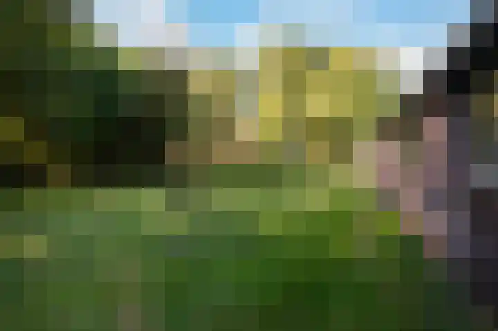 Nieuwe Dijk 14 Zuidwolde thumbnail 42
