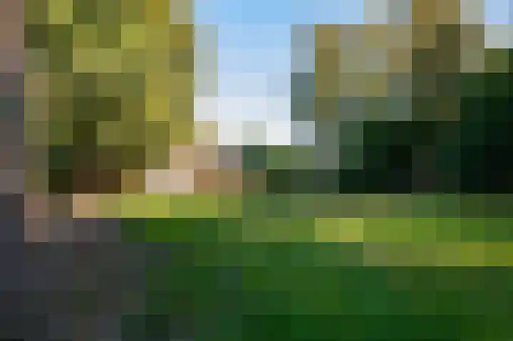 Nieuwe Dijk 14 Zuidwolde thumbnail 43