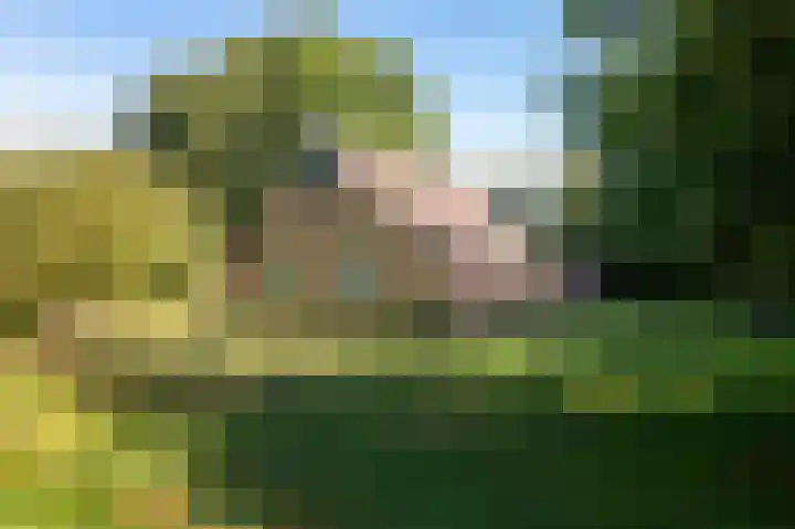 Nieuwe Dijk 14 Zuidwolde thumbnail 44