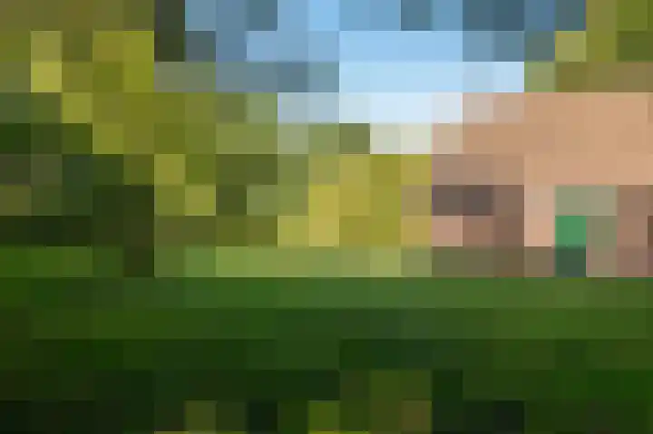 Nieuwe Dijk 14 Zuidwolde thumbnail 45