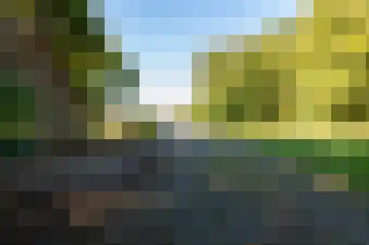Nieuwe Dijk 14 Zuidwolde thumbnail 46
