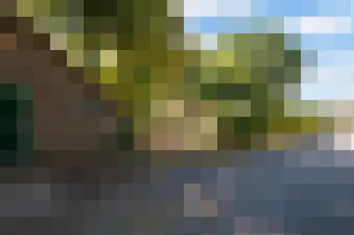 Nieuwe Dijk 14 Zuidwolde thumbnail 48