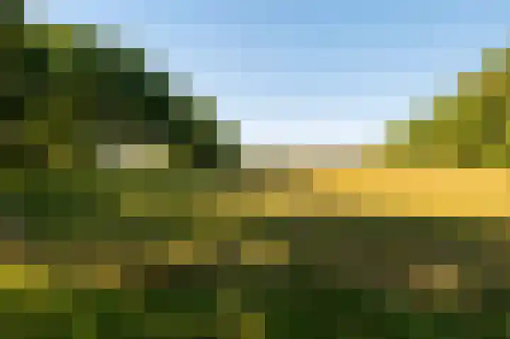 Nieuwe Dijk 14 Zuidwolde thumbnail 49