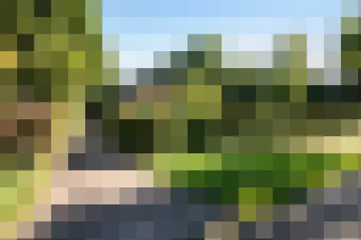 Nieuwe Dijk 14 Zuidwolde thumbnail 51