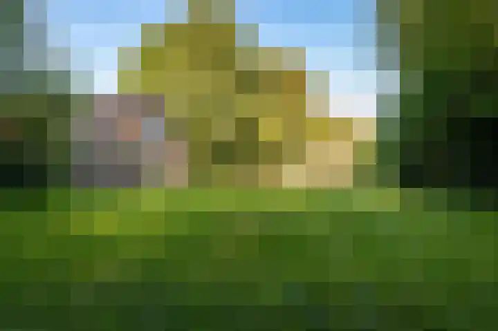 Nieuwe Dijk 14 Zuidwolde thumbnail 52