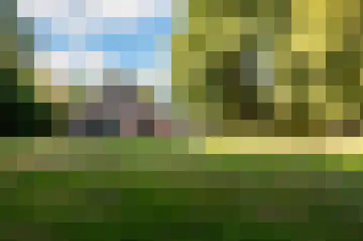 Nieuwe Dijk 14 Zuidwolde thumbnail 53