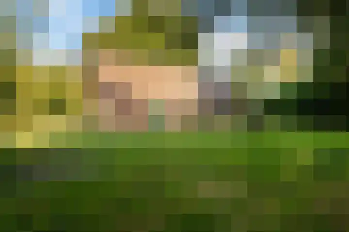 Nieuwe Dijk 14 Zuidwolde thumbnail 54